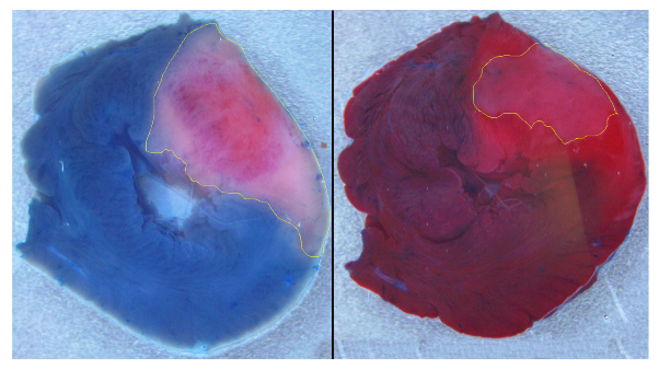 Mathematics 09 02604 g001