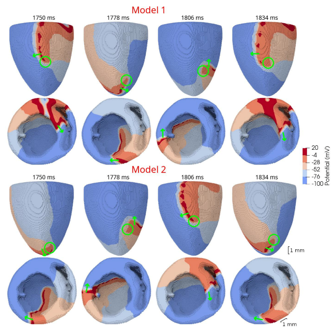 Mathematics 09 02604 g008