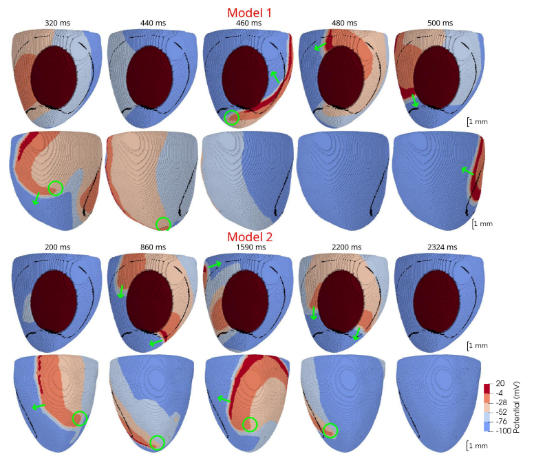 Mathematics 09 02604 g010