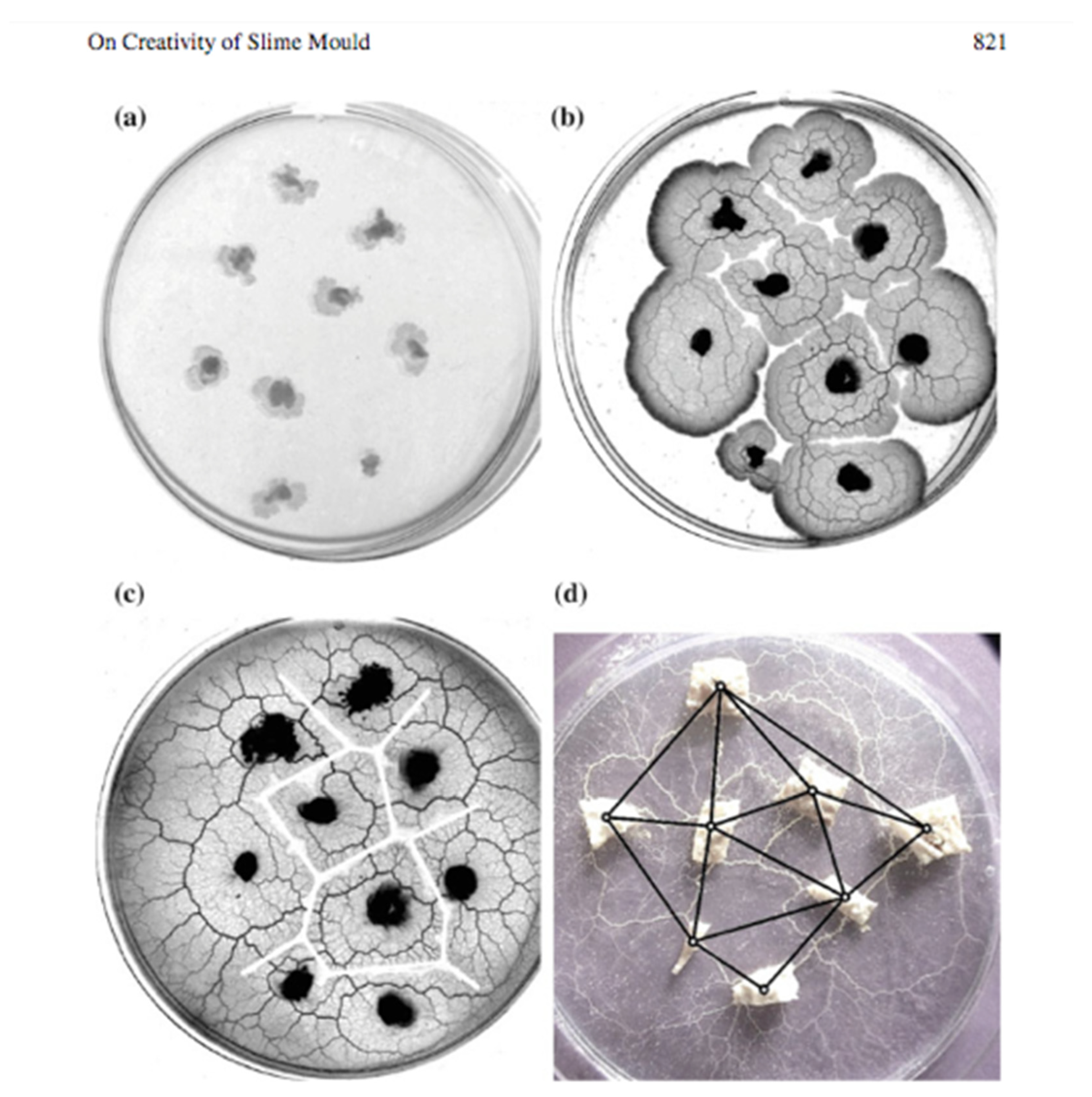 Mathematics 09 02726 g005