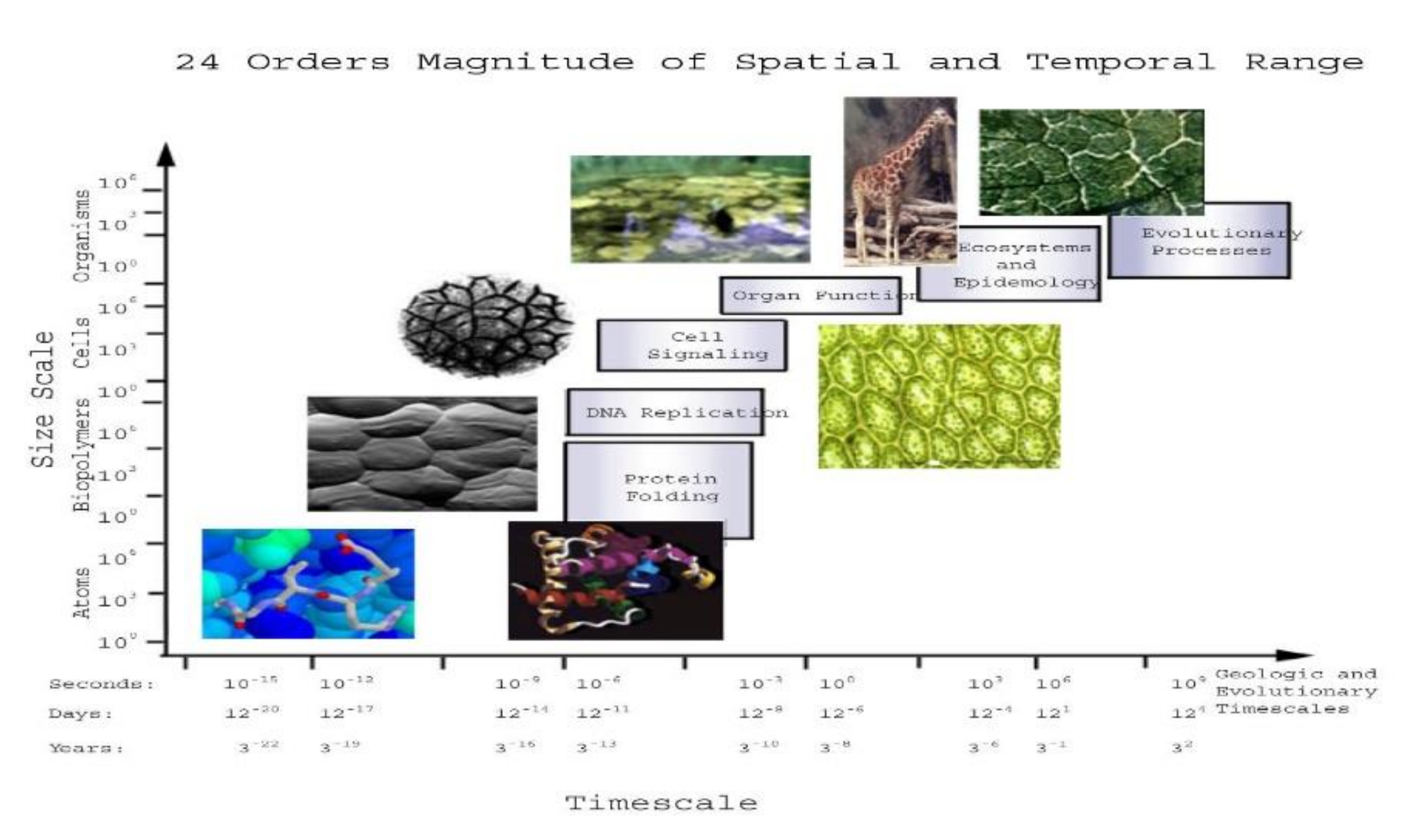 Mathematics 09 02726 g007