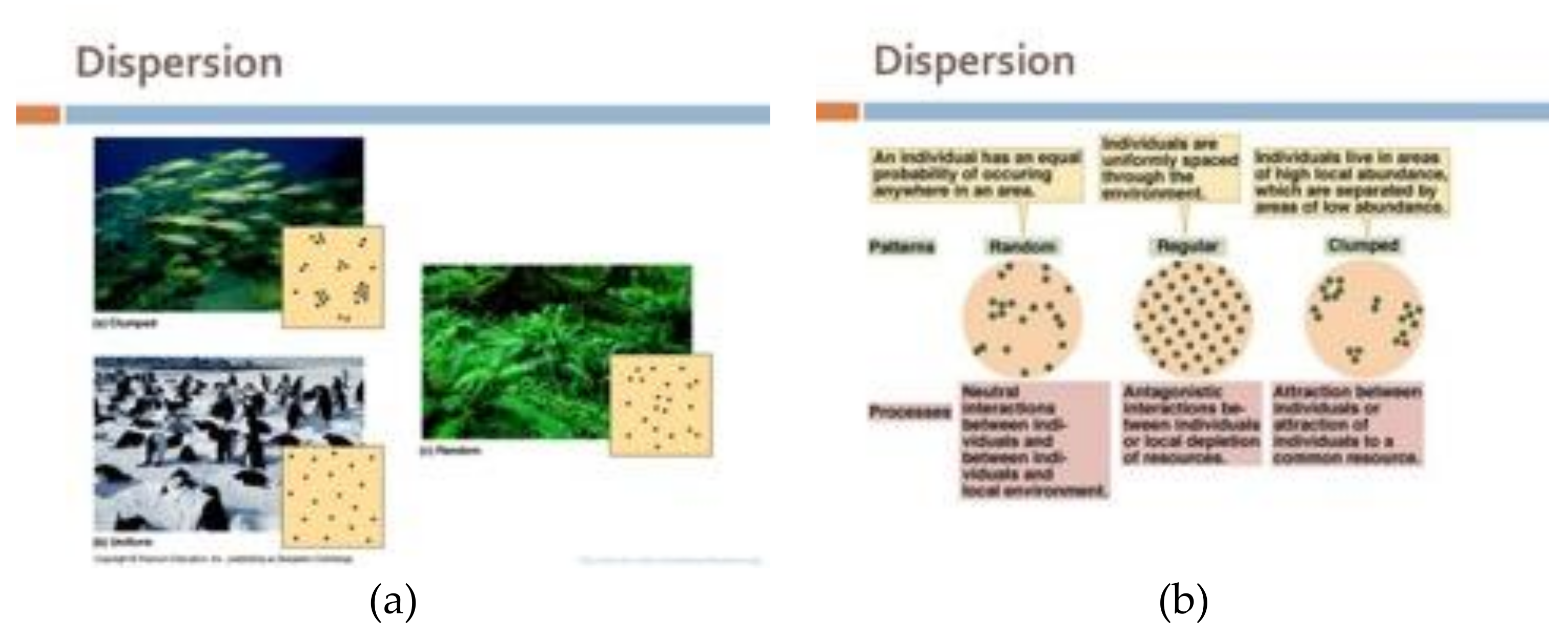 Mathematics 09 02726 g010