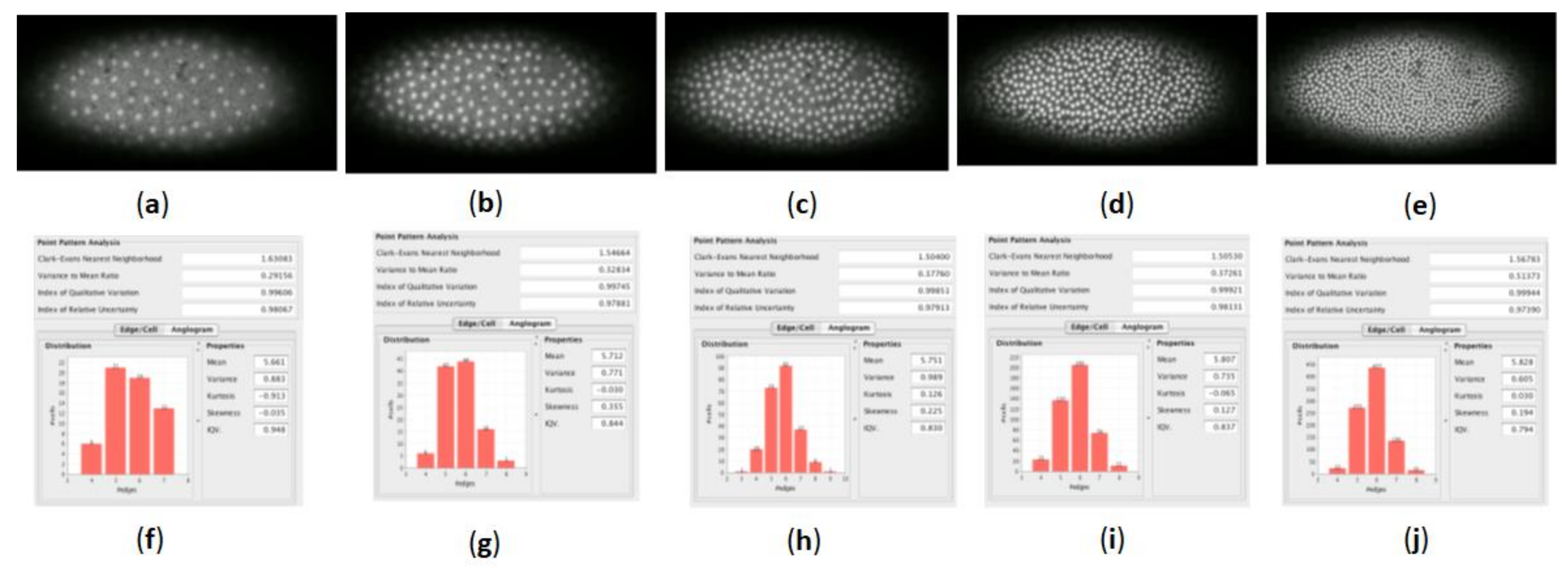 Mathematics 09 02726 g012