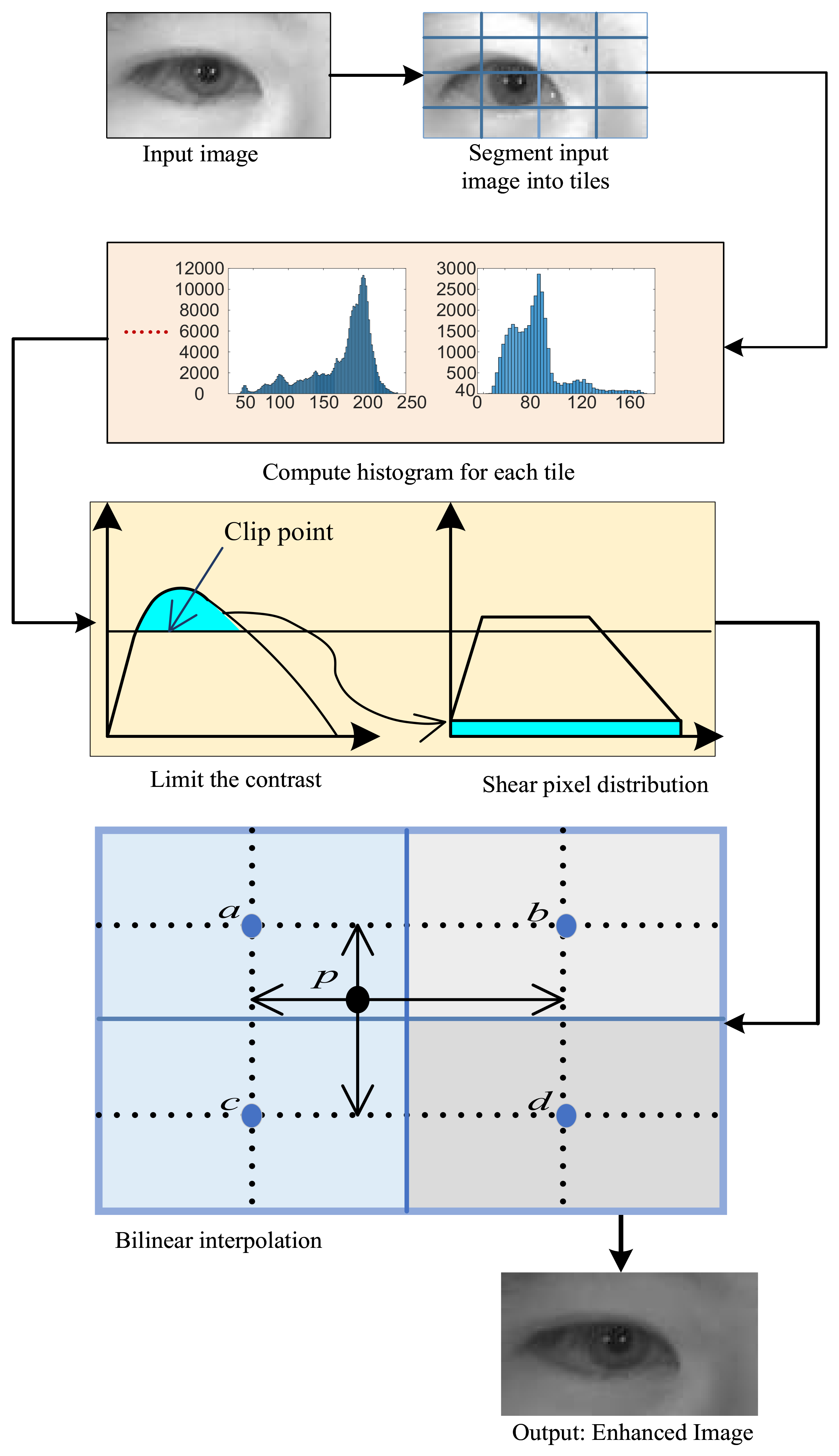 Mathematics 09 02790 g002