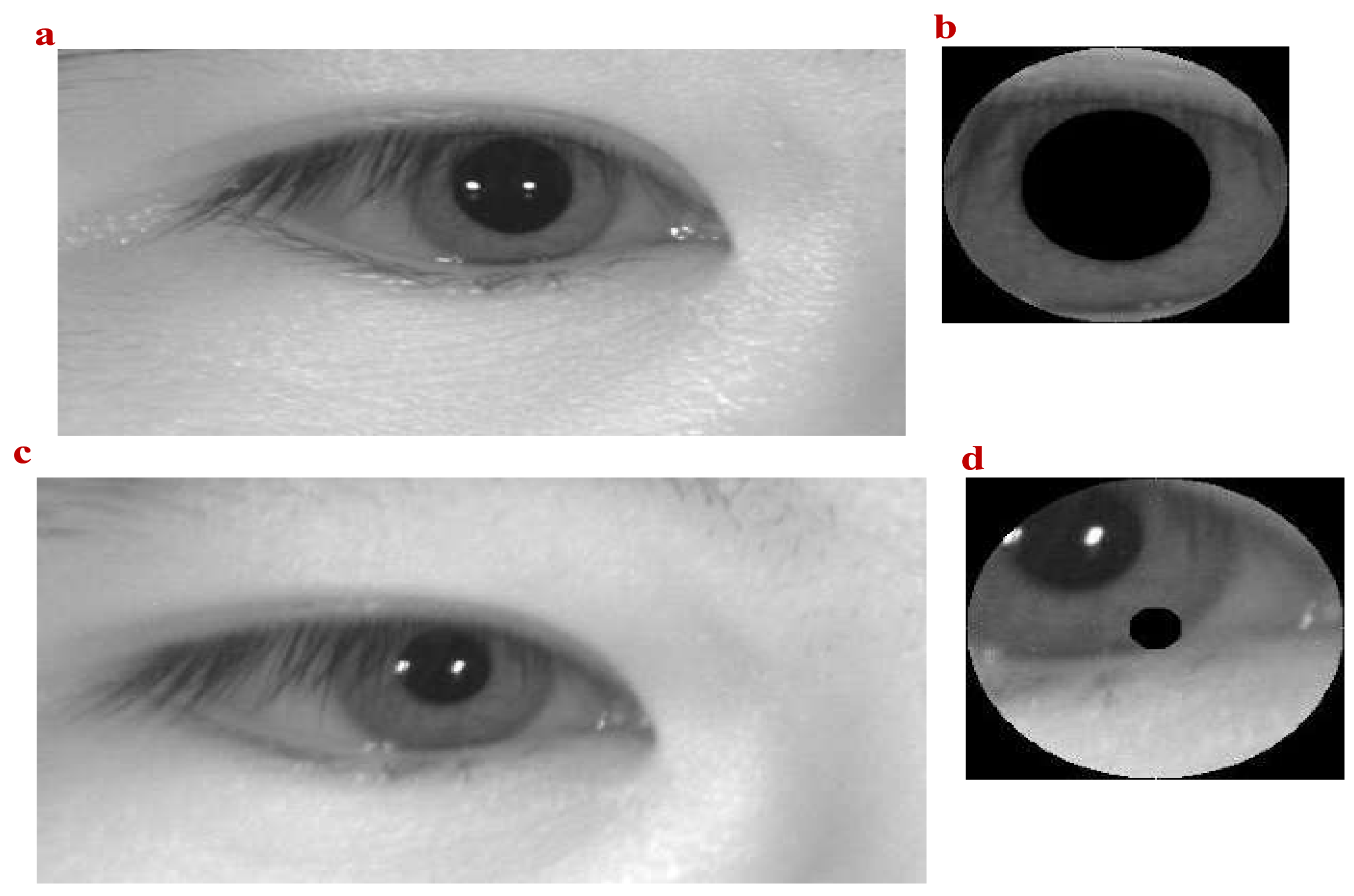 Mathematics 09 02790 g006