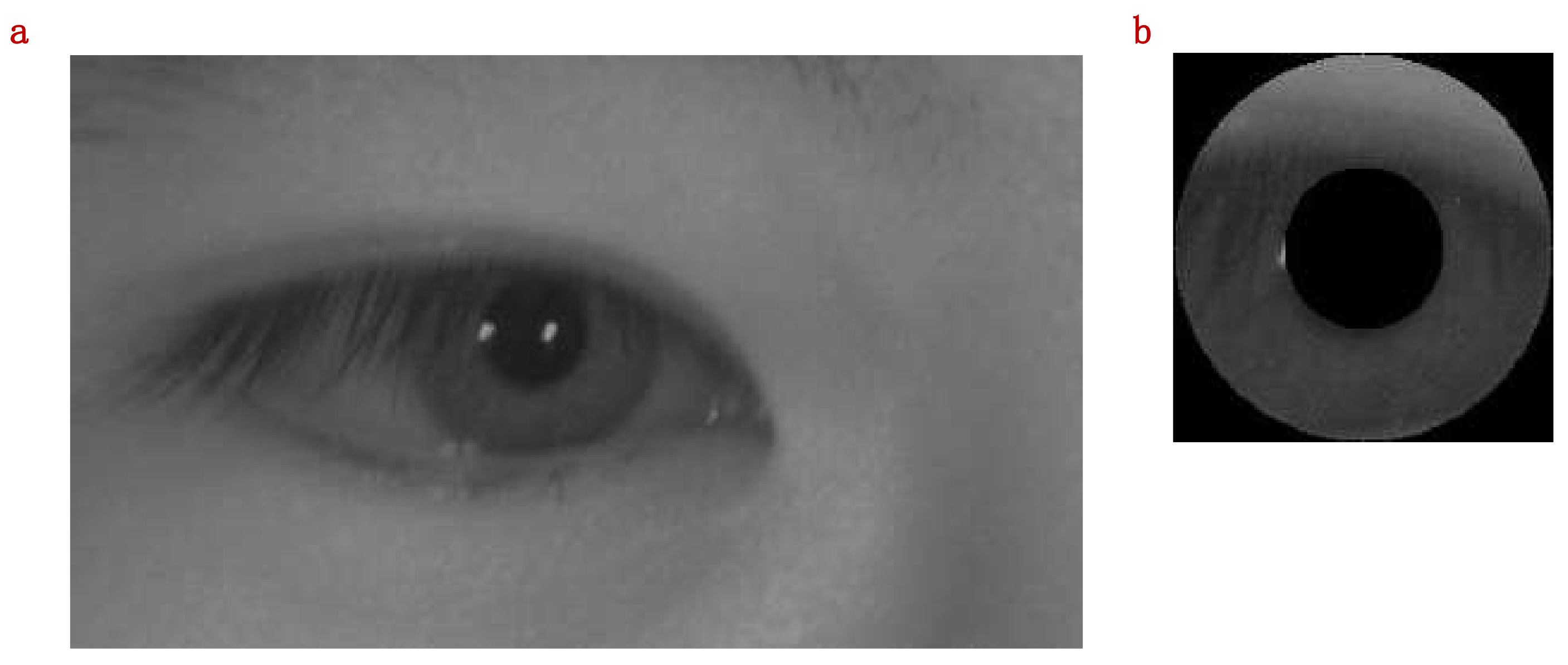 Mathematics 09 02790 g007