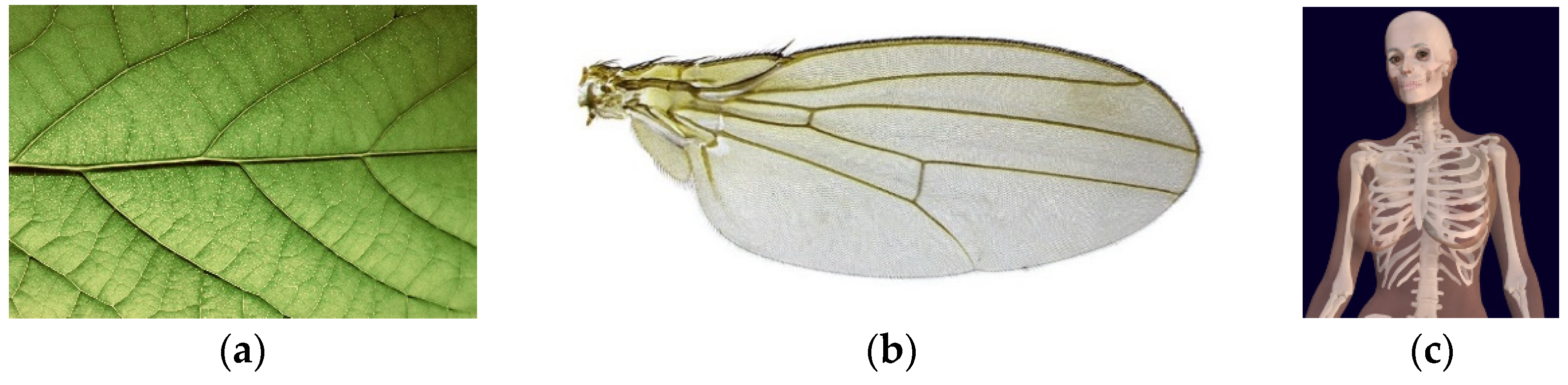 Mathematics 09 02835 g001