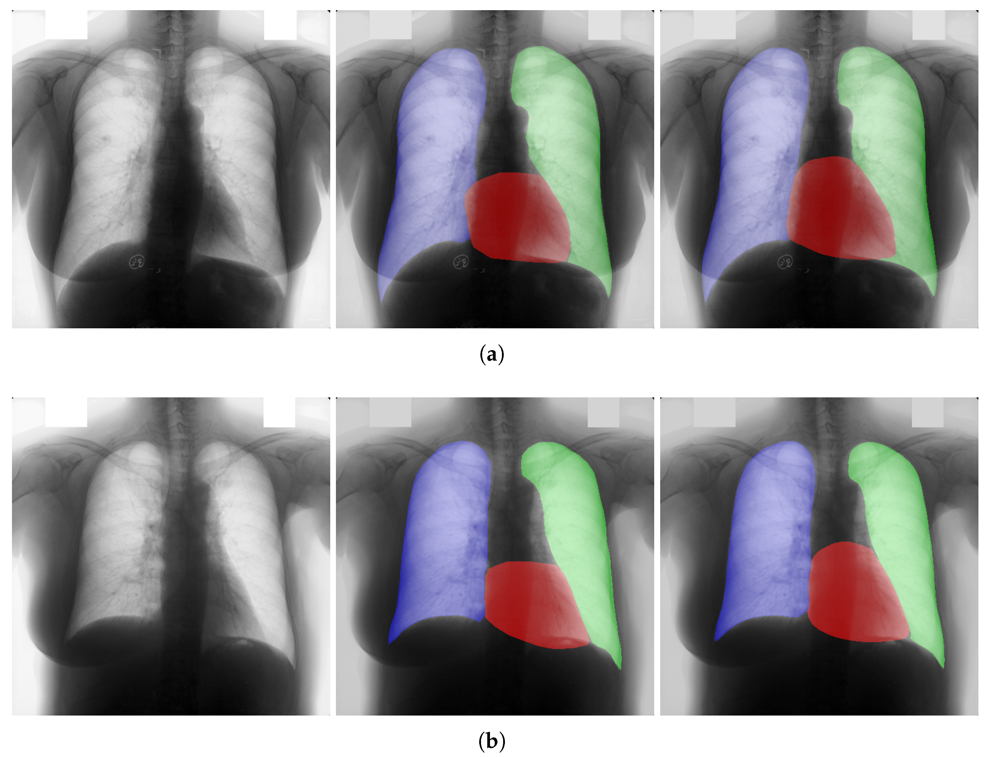 Mathematics 09 02896 g007