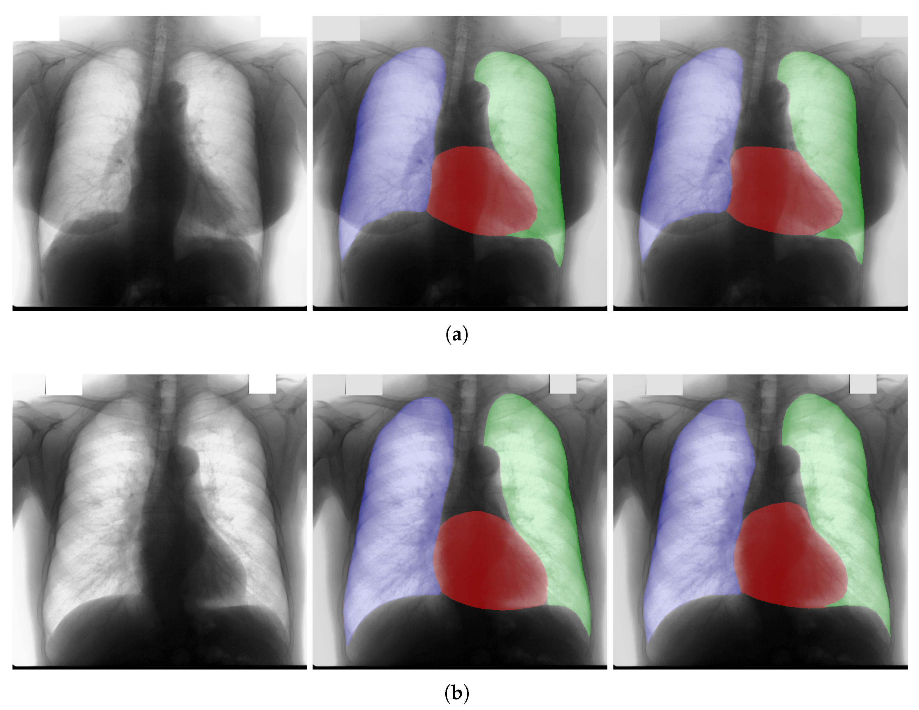 Mathematics 09 02896 g008