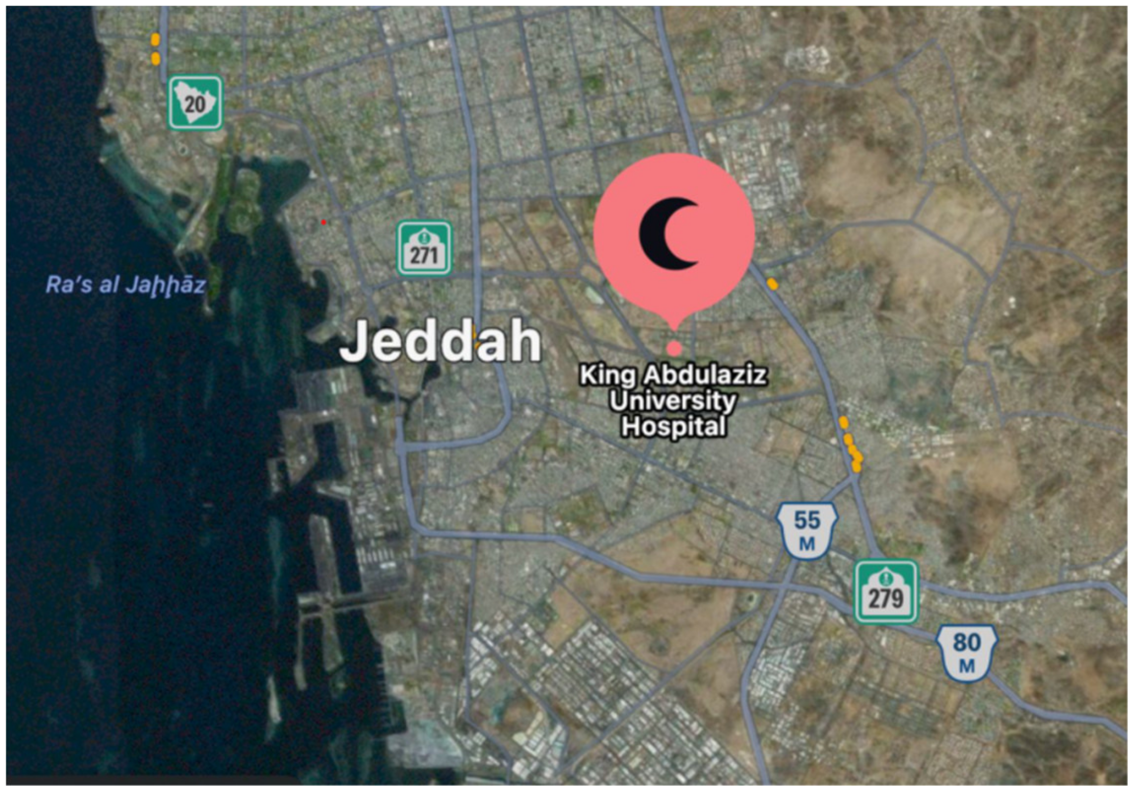 Mathematics 09 02929 g002