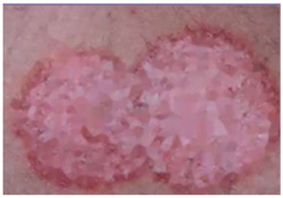 Mathematics 09 02974 i004