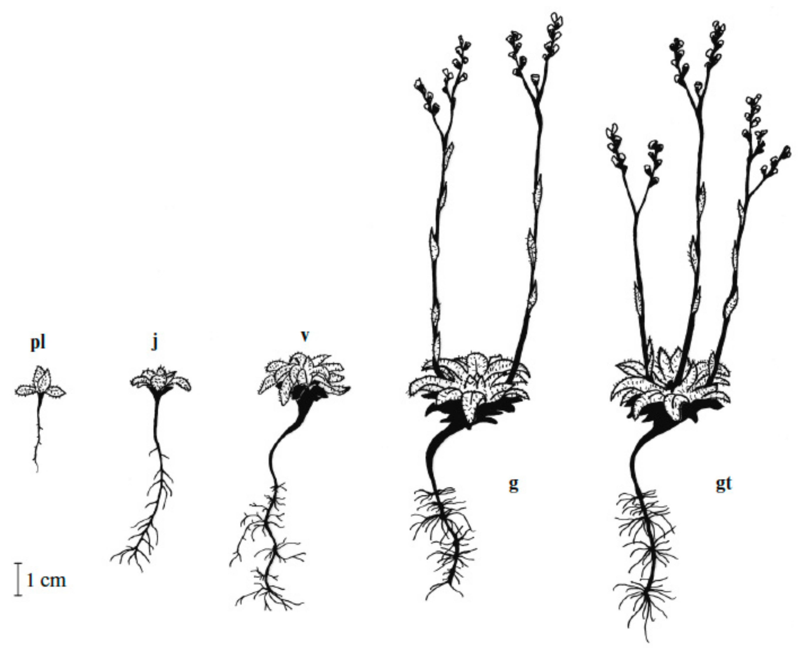 Mathematics 09 03007 g001