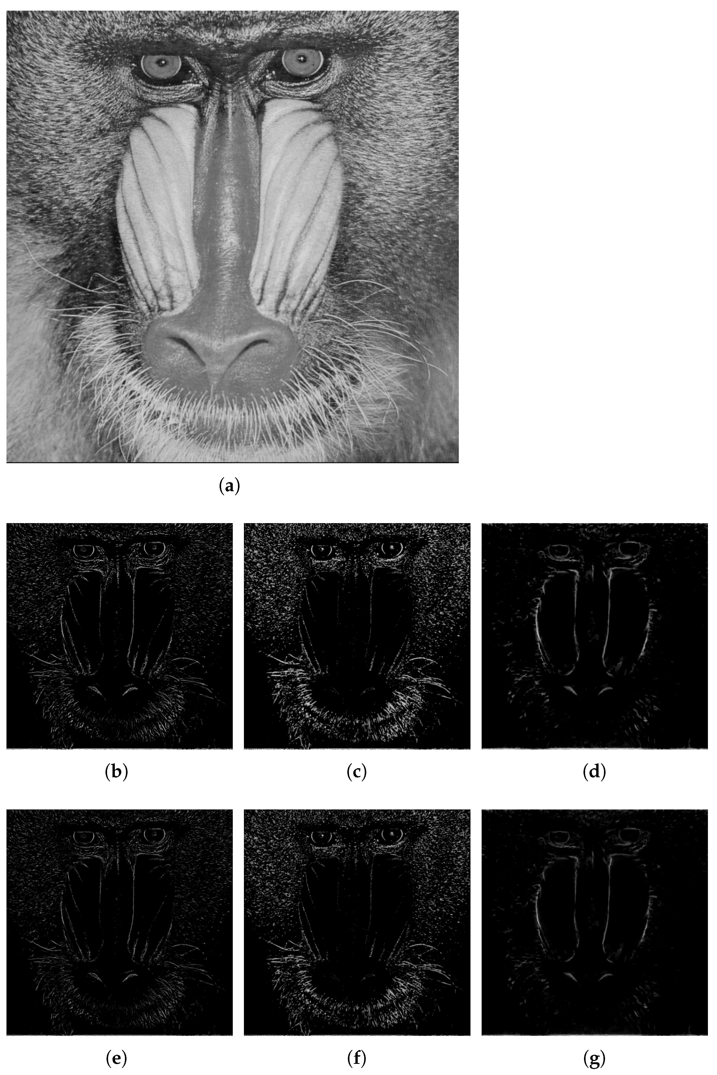 Mathematics 09 03080 g007