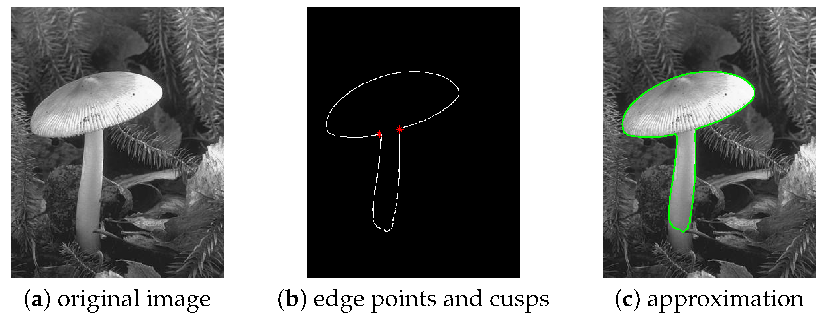 Mathematics 09 03084 g007
