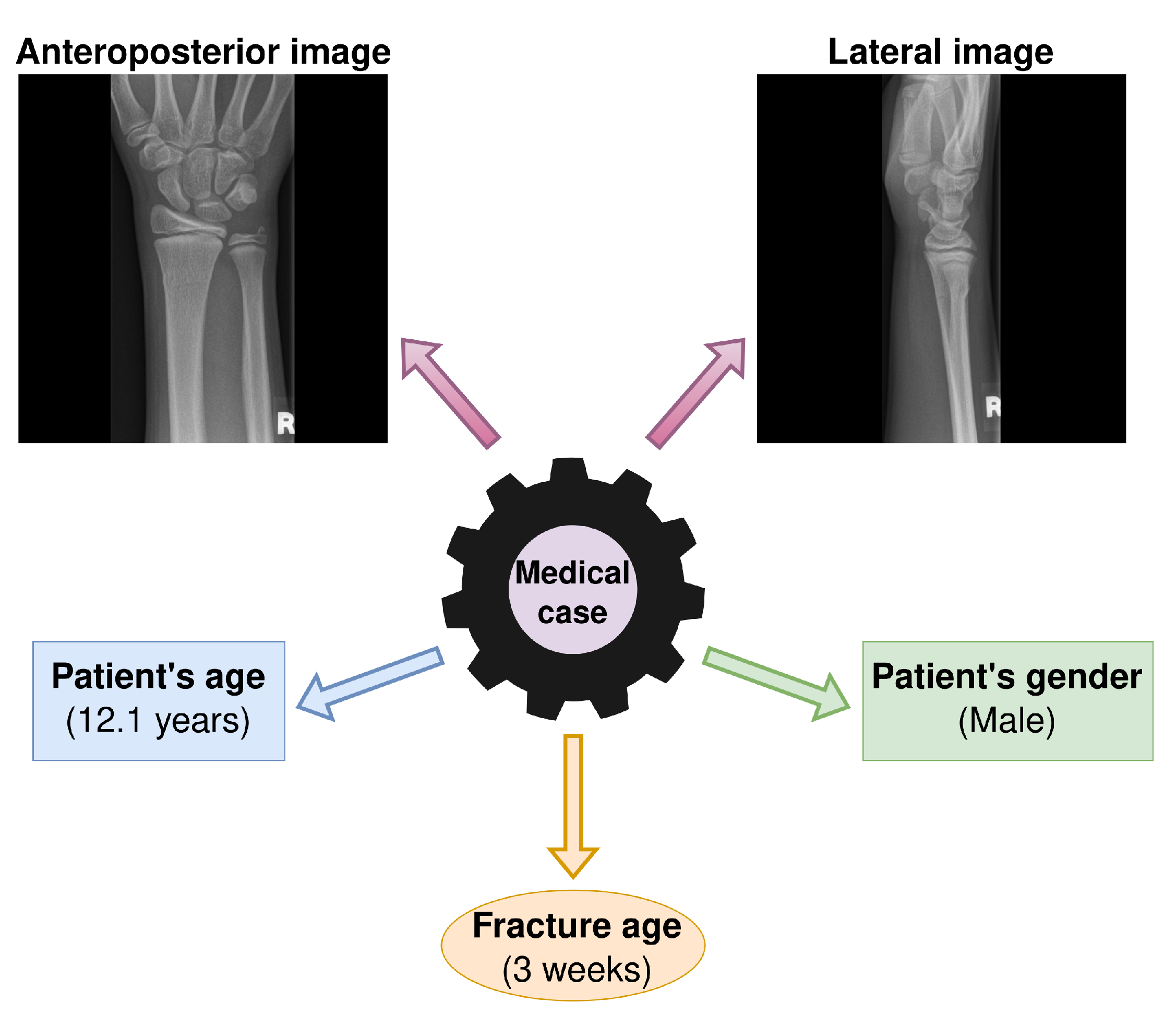 Mathematics 09 03227 g001