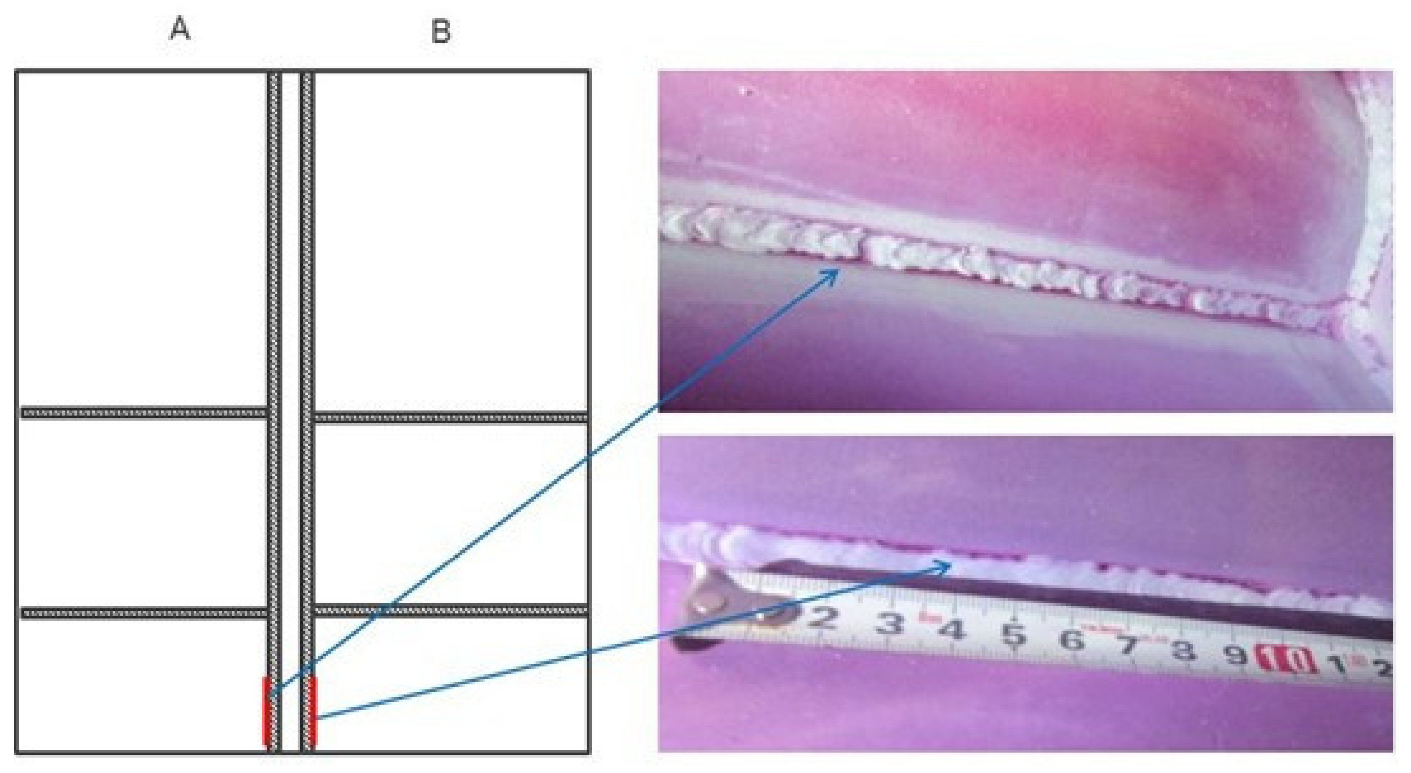 Mathematics 09 03230 g001