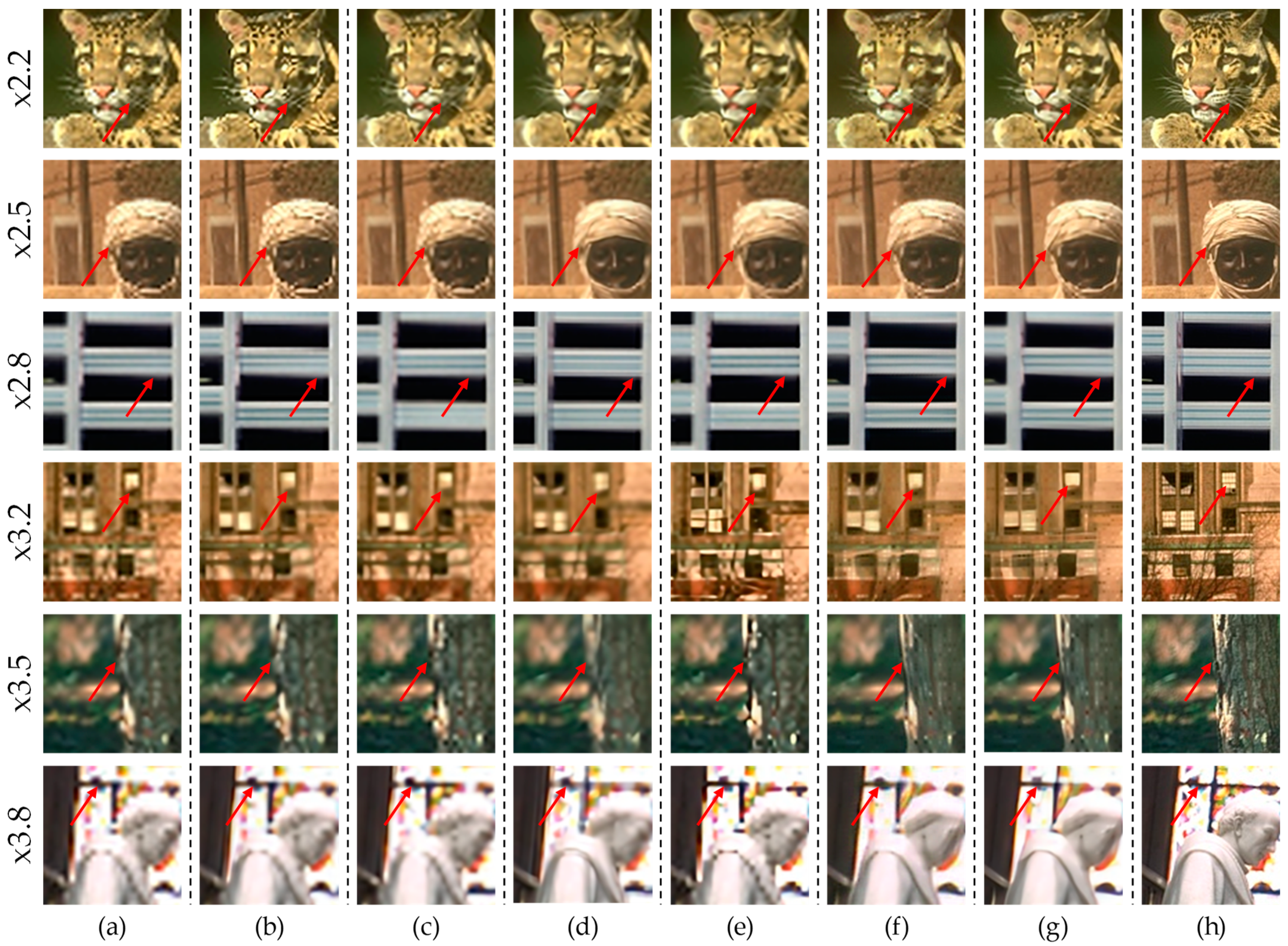 Mathematics 10 00275 g011