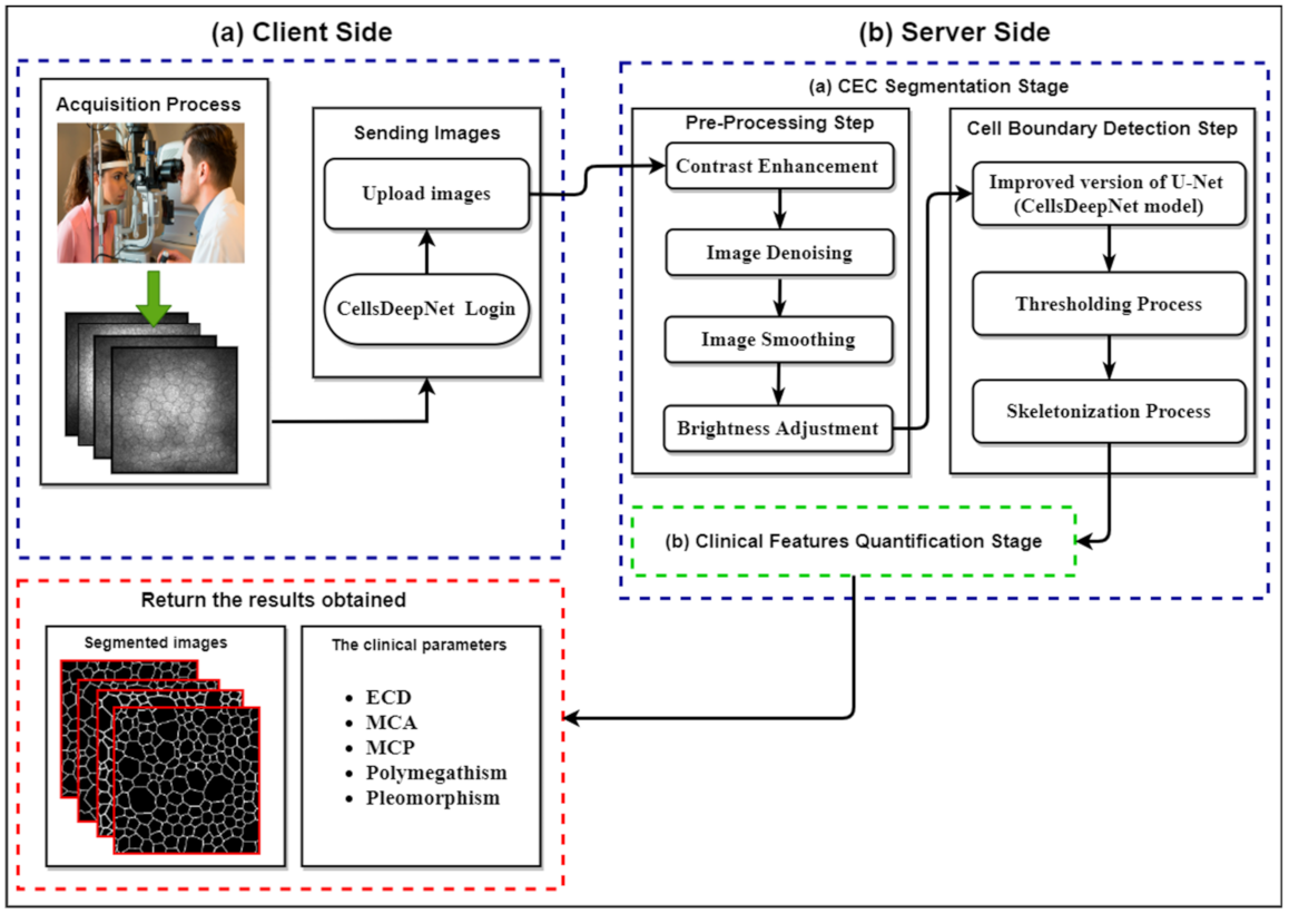 Mathematics 10 00320 g001