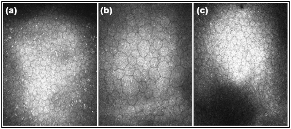 Mathematics 10 00320 g002