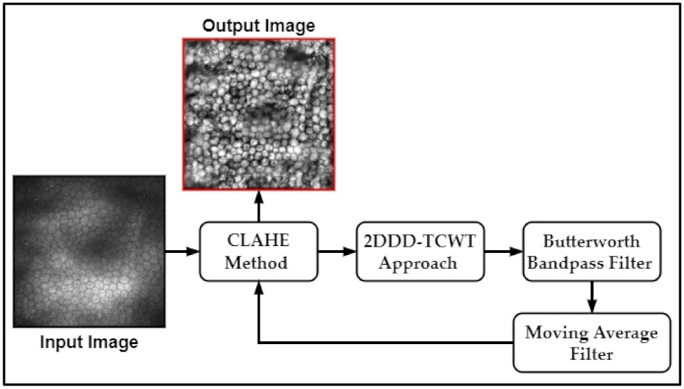 Mathematics 10 00320 g003