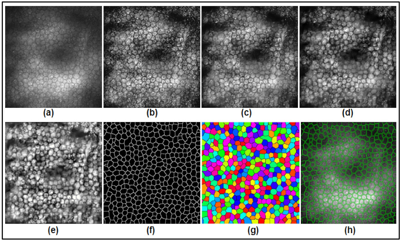 Mathematics 10 00320 g004