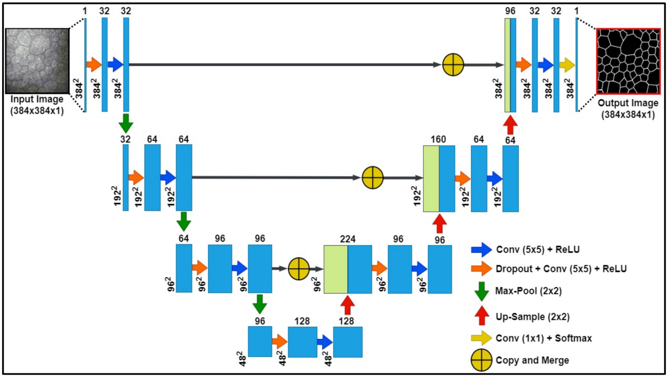 Mathematics 10 00320 g005