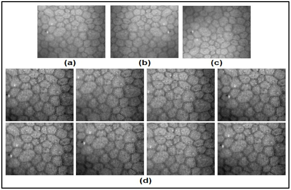 Mathematics 10 00320 g008