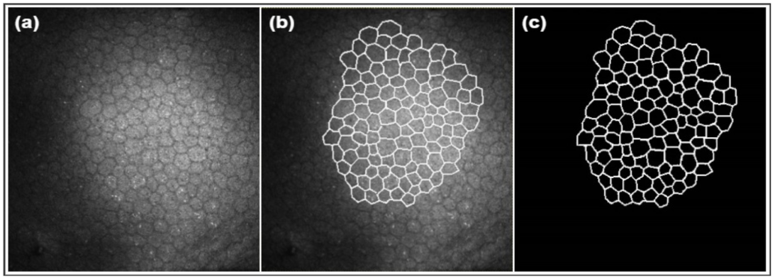 Mathematics 10 00320 g010
