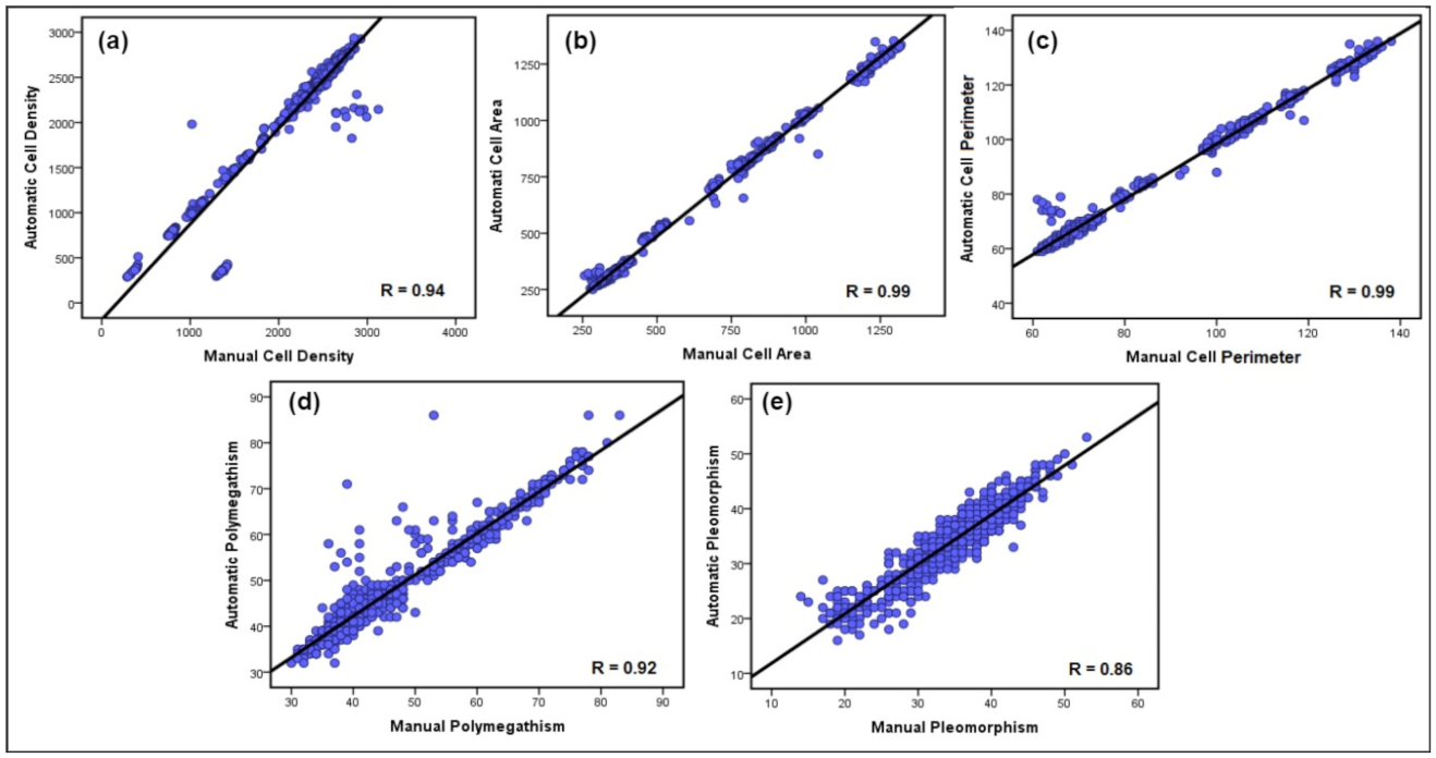 Mathematics 10 00320 g012