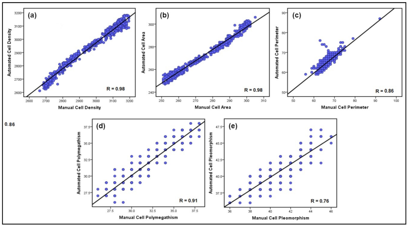 Mathematics 10 00320 g015