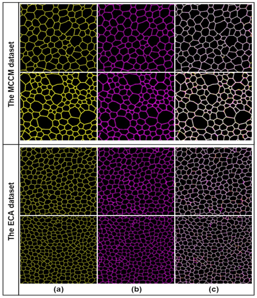 Mathematics 10 00320 g017