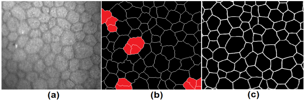 Mathematics 10 00320 g019