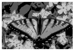 Mathematics 10 01014 i009