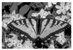 Mathematics 10 01014 i010