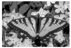 Mathematics 10 01014 i011