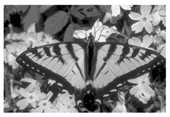 Mathematics 10 01014 i012