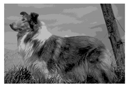 Mathematics 10 01014 i018