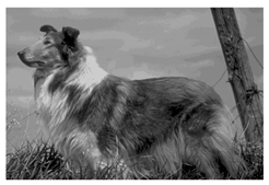 Mathematics 10 01014 i020