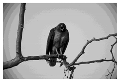 Mathematics 10 01014 i043