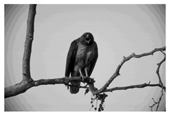 Mathematics 10 01014 i044