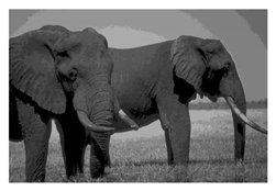 Mathematics 10 01014 i050