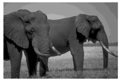 Mathematics 10 01014 i051