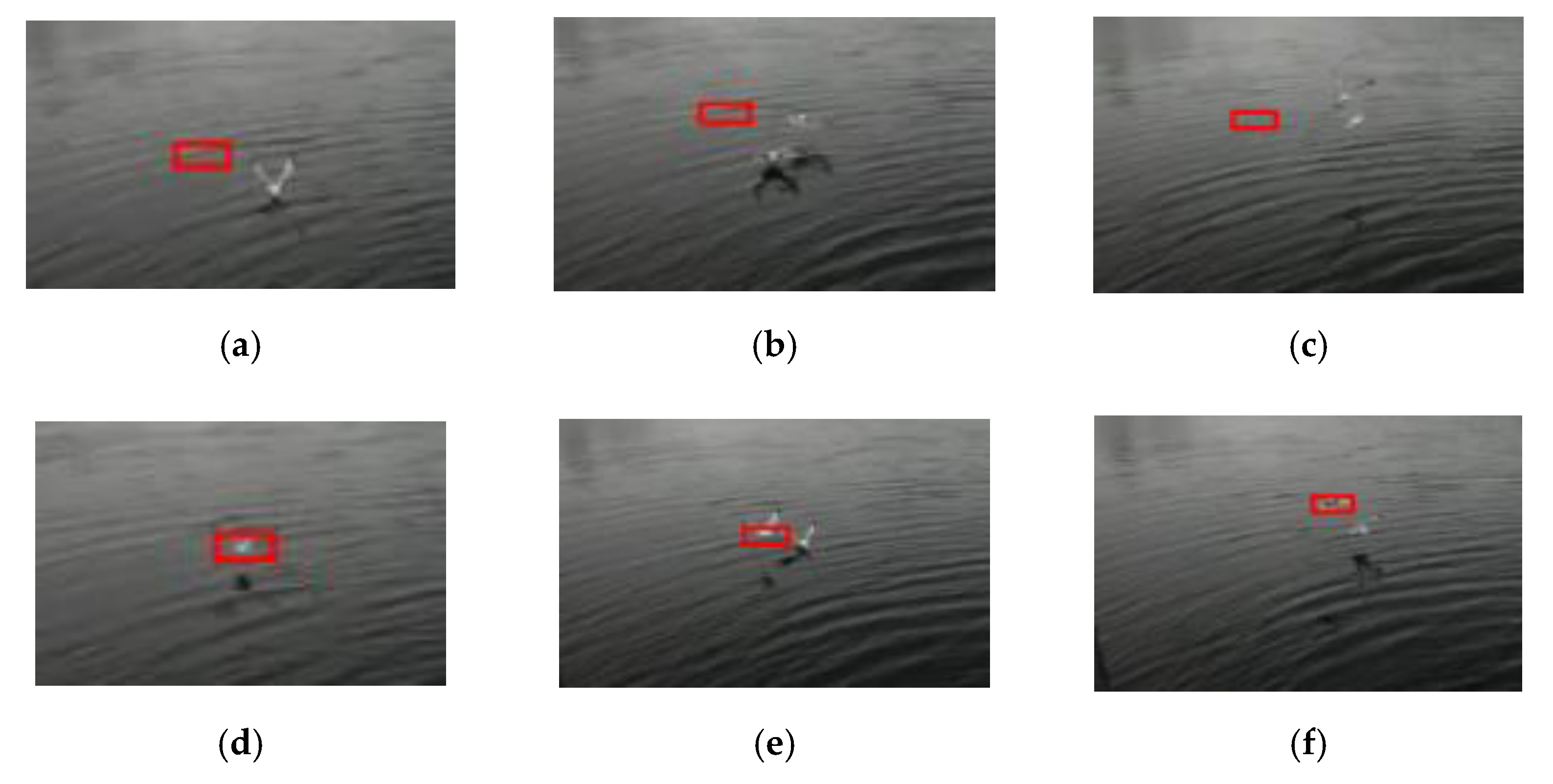 Mathematics 10 01527 g010