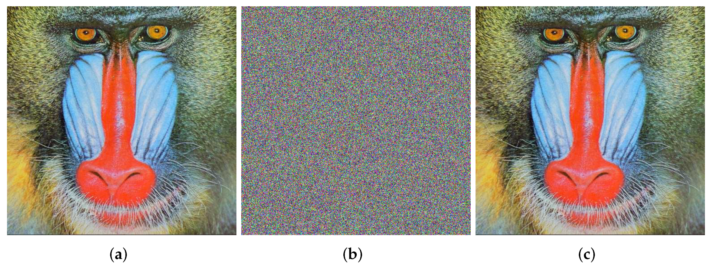 Mathematics 10 01907 g017