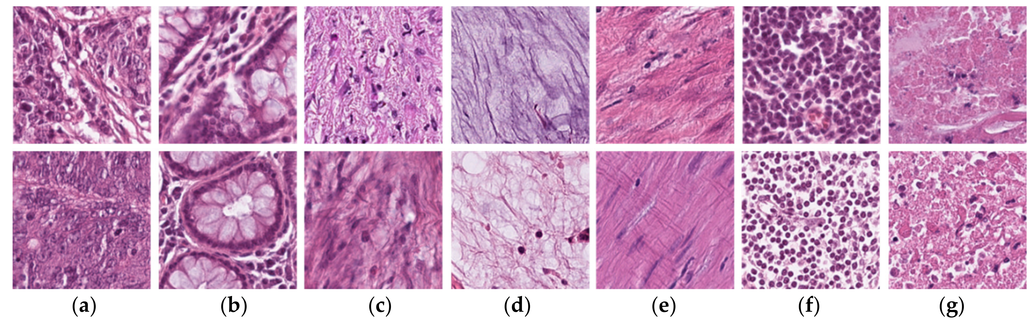 Mathematics 10 01909 g005