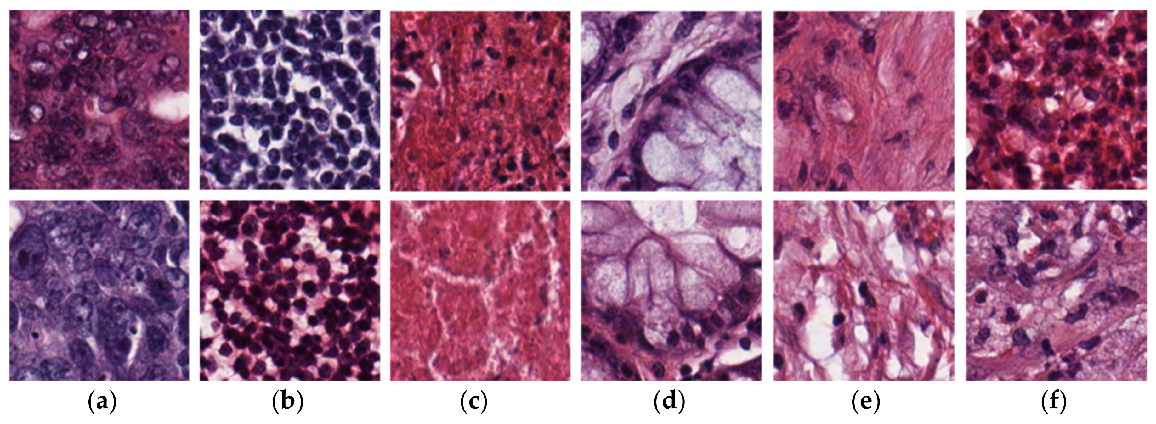 Mathematics 10 01909 g006