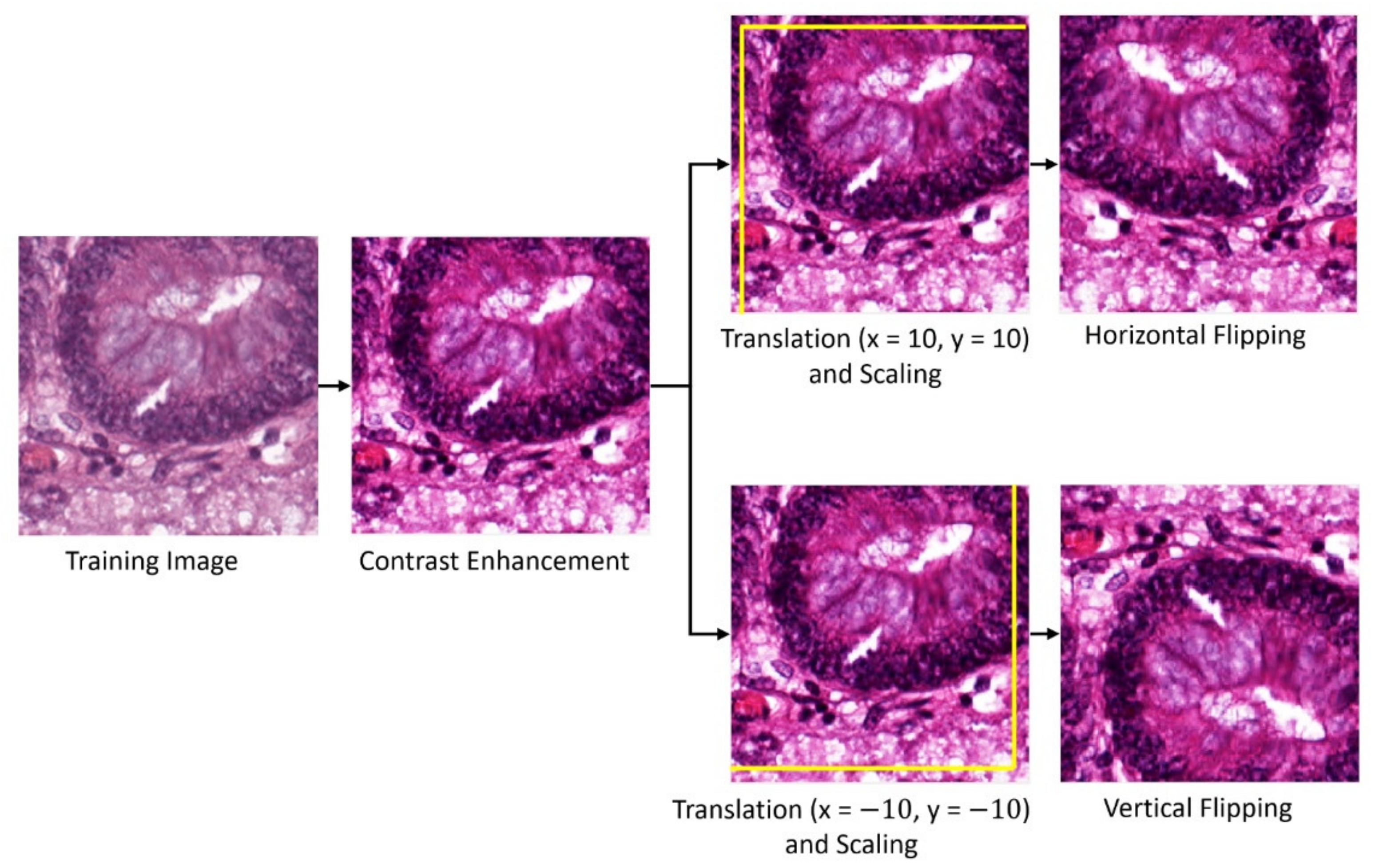 Mathematics 10 01909 g007