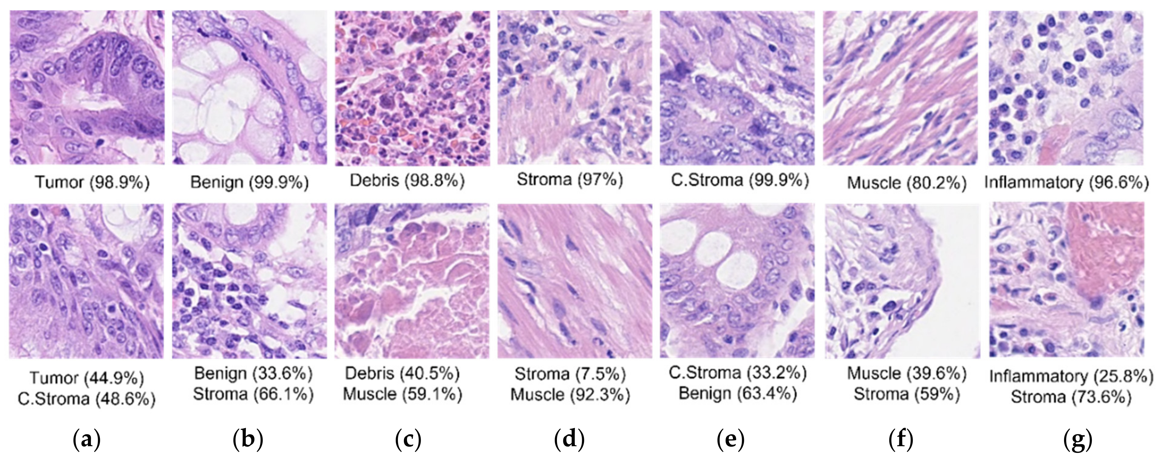 Mathematics 10 01909 g010