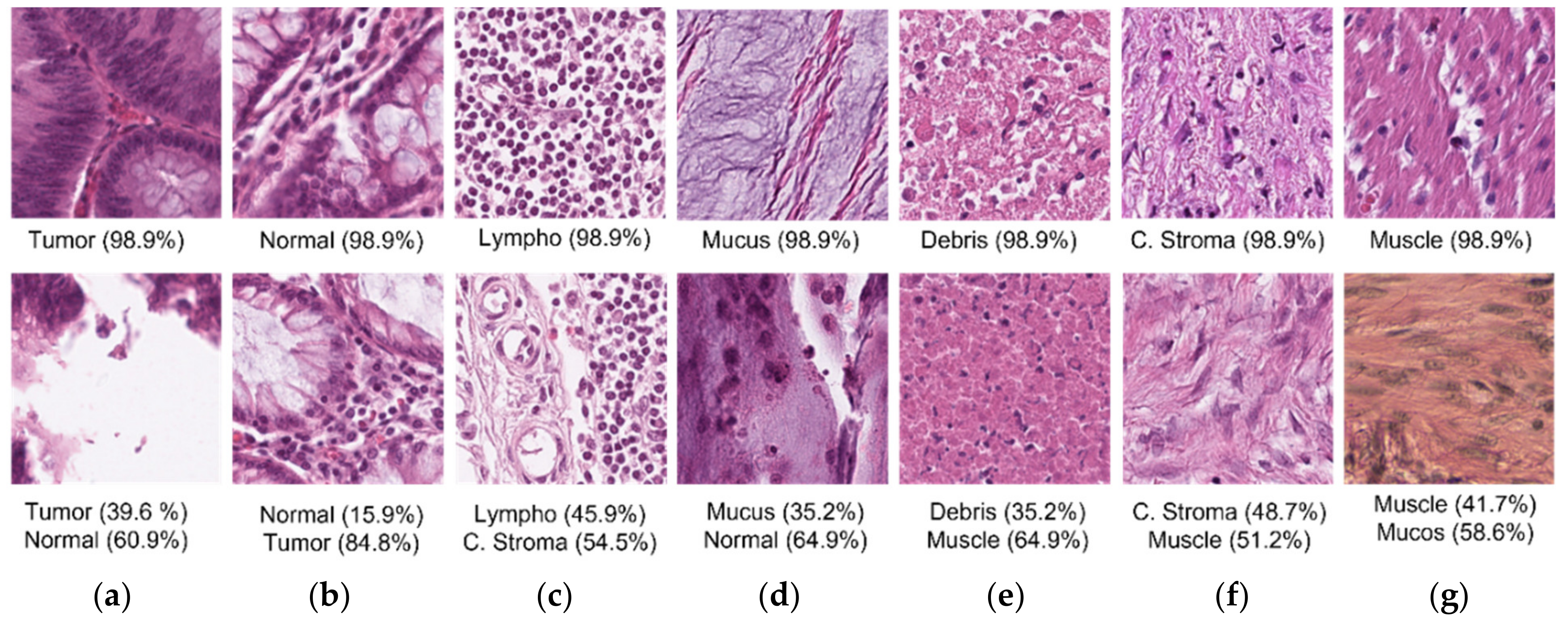 Mathematics 10 01909 g011