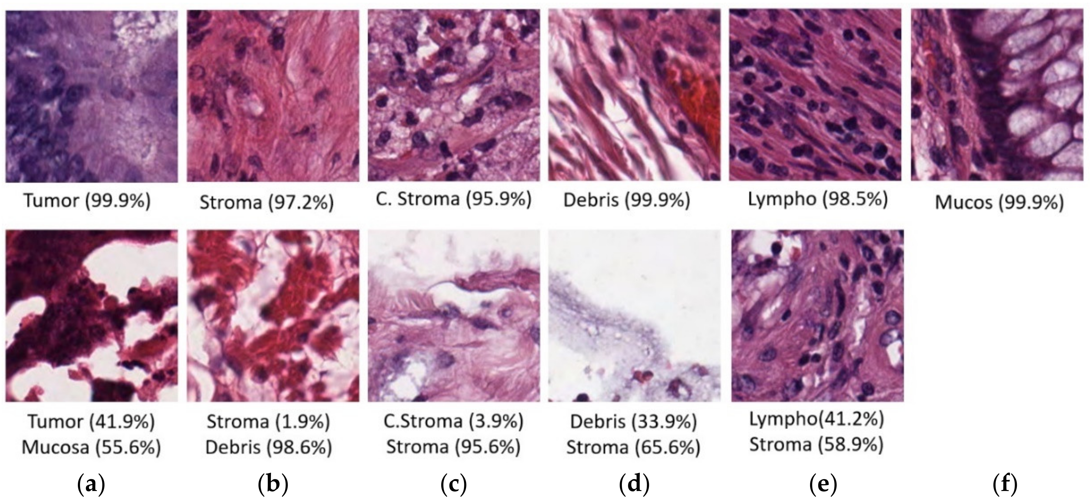 Mathematics 10 01909 g012